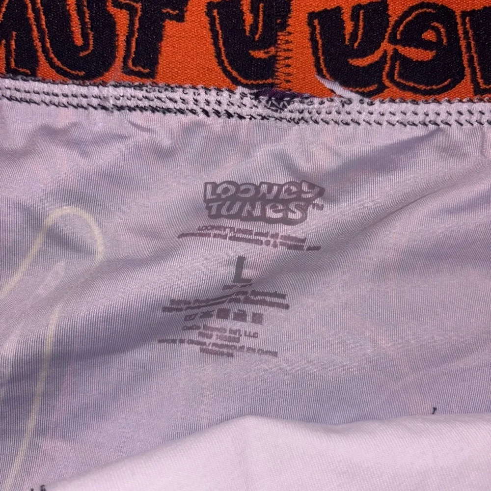 Looney Tunes Dia De Los Muertos Boxers